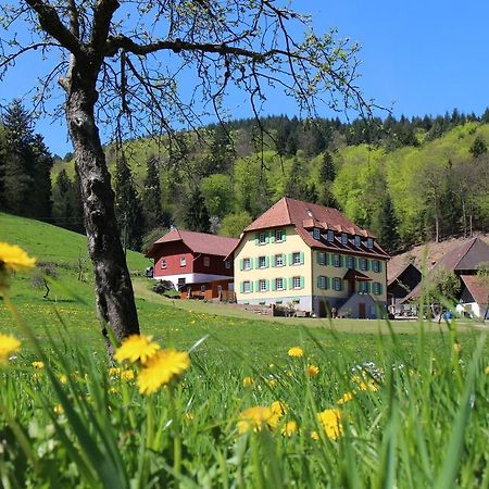 Offenburger Hof Apartment Schuttertal Exterior photo