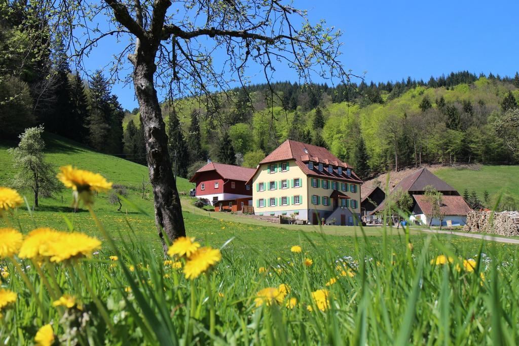 Offenburger Hof Apartment Schuttertal Exterior photo