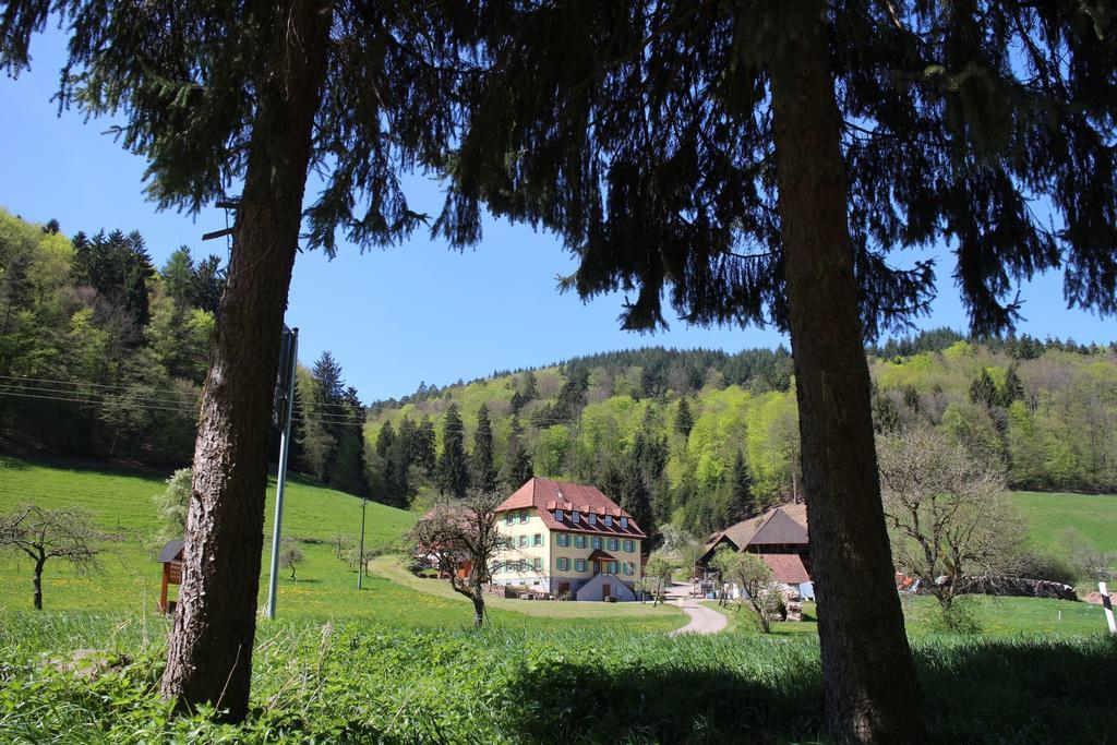 Offenburger Hof Apartment Schuttertal Exterior photo