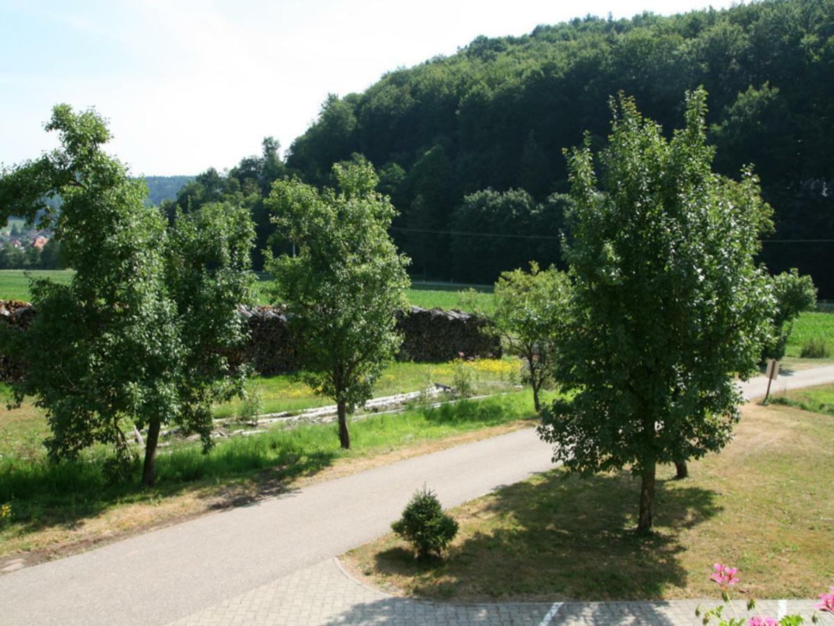 Offenburger Hof Apartment Schuttertal Exterior photo